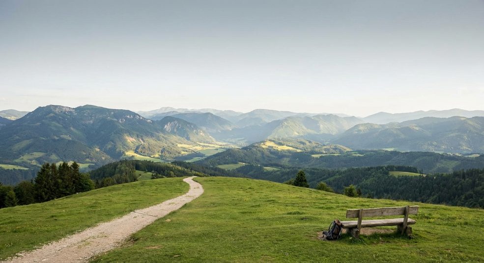 【如何挖掘People Also Ask相关提问实现内容拓展】第一张图