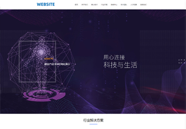 网站营销
