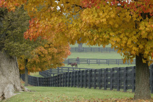 无锡网站建设价格