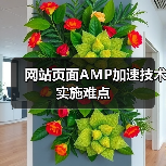网站页面AMP加速技术实施难点(图2) 网站页面AMP加速技术实施难点(图2)