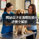 网站设计全流程智能化运营全解析（图4）