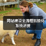 网站建设全流程智能化系统运营(图1) 网站建设全流程智能化系统运营(图1)