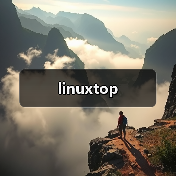 linuxtop(图2) linuxtop(图2)