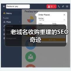 老域名收购重建的SEO奇迹（图3）