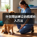 外贸网站建设的视频嵌入方法（图2）