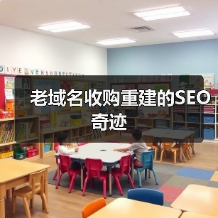 老域名收购重建的SEO奇迹（图2）