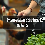 外贸网站建设的色彩搭配技巧（图4）