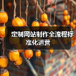 定制网站制作全流程标准化运营(图1) 定制网站制作全流程标准化运营(图1)