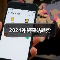 2024外贸建站趋势（图3）