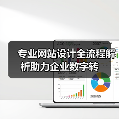 专业网站设计全流程解析助力企业数字转(图4) 专业网站设计全流程解析助力企业数字转(图4)