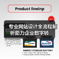 专业网站设计全流程解析助力企业数字转(图1) 专业网站设计全流程解析助力企业数字转(图1)