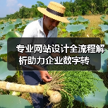 专业网站设计全流程解析助力企业数字转(图2) 专业网站设计全流程解析助力企业数字转(图2)