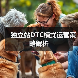 独立站DTC模式运营策略解析(图2) 独立站DTC模式运营策略解析(图2)