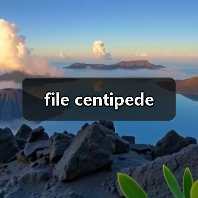 file centipede（图1）