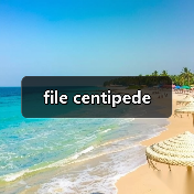 file centipede（图3）