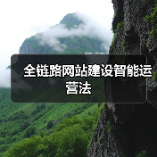 全链路网站建设智能运营法（图3）