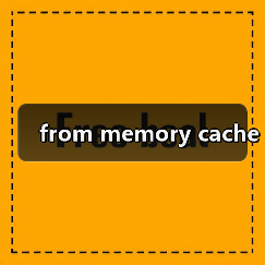 from memory cache(图1) from memory cache(图1)