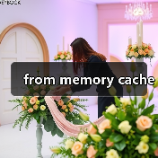 from memory cache(图2) from memory cache(图2)