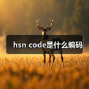 hsn code是什么编码（图4）