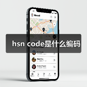 hsn code是什么编码（图3）