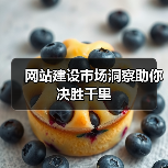 网站建设市场洞察助你决胜千里（图4）