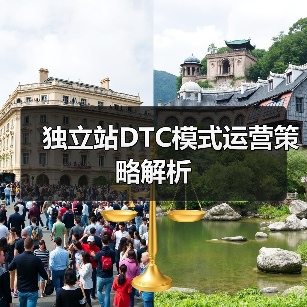 独立站DTC模式运营策略解析(图1) 独立站DTC模式运营策略解析(图1)