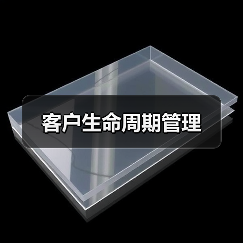 客户生命周期管理（图2）