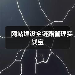 网站建设全链路管理实战宝(图1) 网站建设全链路管理实战宝(图1)