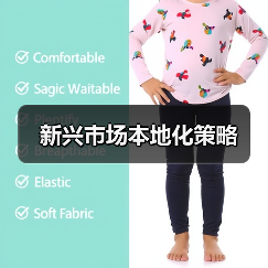 新兴市场本地化策略(图1) 新兴市场本地化策略(图1)