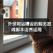 外贸网站建设的服务器端脚本语言运用(图3) 外贸网站建设的服务器端脚本语言运用(图3)