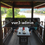 vue3-admin(图4) vue3-admin(图4)