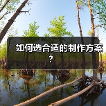 如何选合适的制作方案?(图2) 如何选合适的制作方案?(图2)