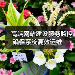 高端网站建设服务监控确保系统高效运维(图4) 高端网站建设服务监控确保系统高效运维(图4)
