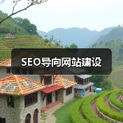 SEO导向网站建设(图1) SEO导向网站建设(图1)
