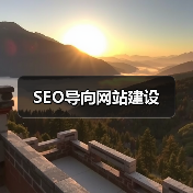 SEO导向网站建设(图4) SEO导向网站建设(图4)