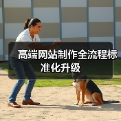 高端网站制作全流程标准化升级(图2) 高端网站制作全流程标准化升级(图2)