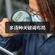多语种关键词布局(图1) 多语种关键词布局(图1)