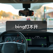 bing打不开(图3) bing打不开(图3)