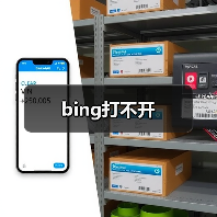 bing打不开(图2) bing打不开(图2)