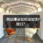 网站建设如何添加支付接口？（图1）
