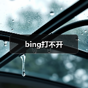 bing打不开(图4) bing打不开(图4)