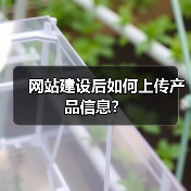 网站建设后如何上传产品信息?(图1) 网站建设后如何上传产品信息?(图1)