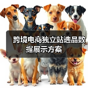 跨境电商独立站选品数据展示方案(图4) 跨境电商独立站选品数据展示方案(图4)