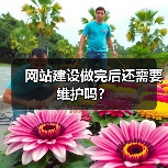 网站建设做完后还需要维护吗？（图1）