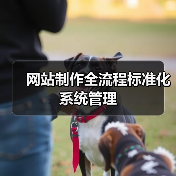 网站制作全流程标准化系统管理(图2) 网站制作全流程标准化系统管理(图2)
