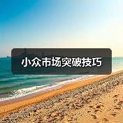 小众市场突破技巧（图3）