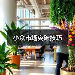小众市场突破技巧（图4）