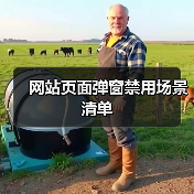 网站页面弹窗禁用场景清单(图4) 网站页面弹窗禁用场景清单(图4)