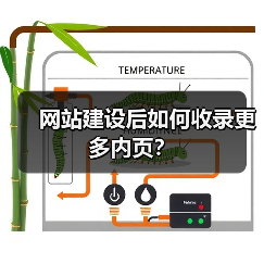 网站建设后如何收录更多内页?(图4) 网站建设后如何收录更多内页?(图4)