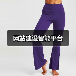 网站建设智能平台（图3）